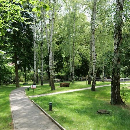 Penzion Harmony Javornik Ctyrkoly 外观 照片